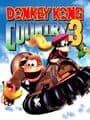 Donkey Kong Country 3 (GBA)