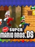 Newer Super Mario Bros. DS